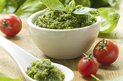 pesto web