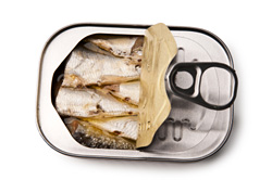 sardines